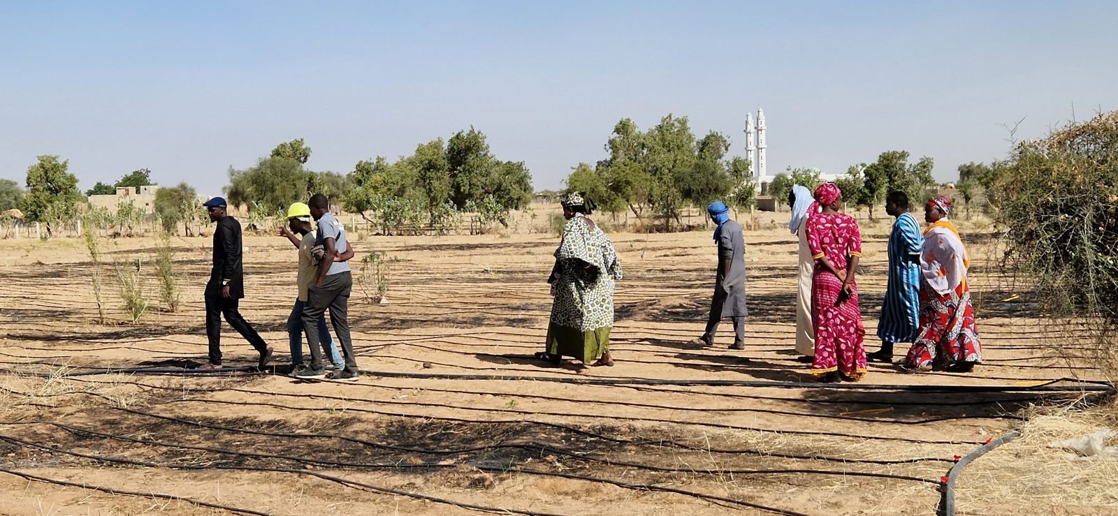 Habitants et équipe de projet marchant sur un terrain équipé d'un système d'irrigation goutte à goutte