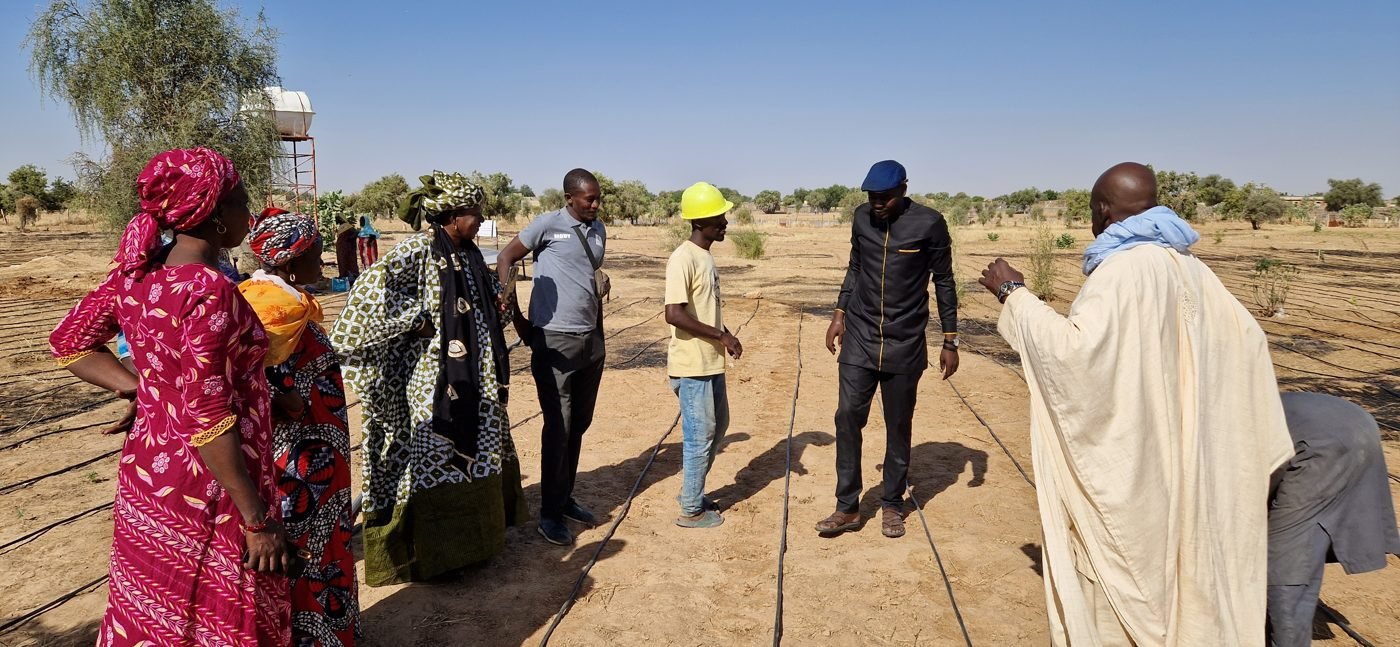 Photo du projet de reboisement à Koumbou et de puits à Fimbo, troisième image